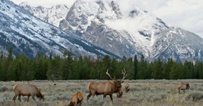 Grand Teton National Park