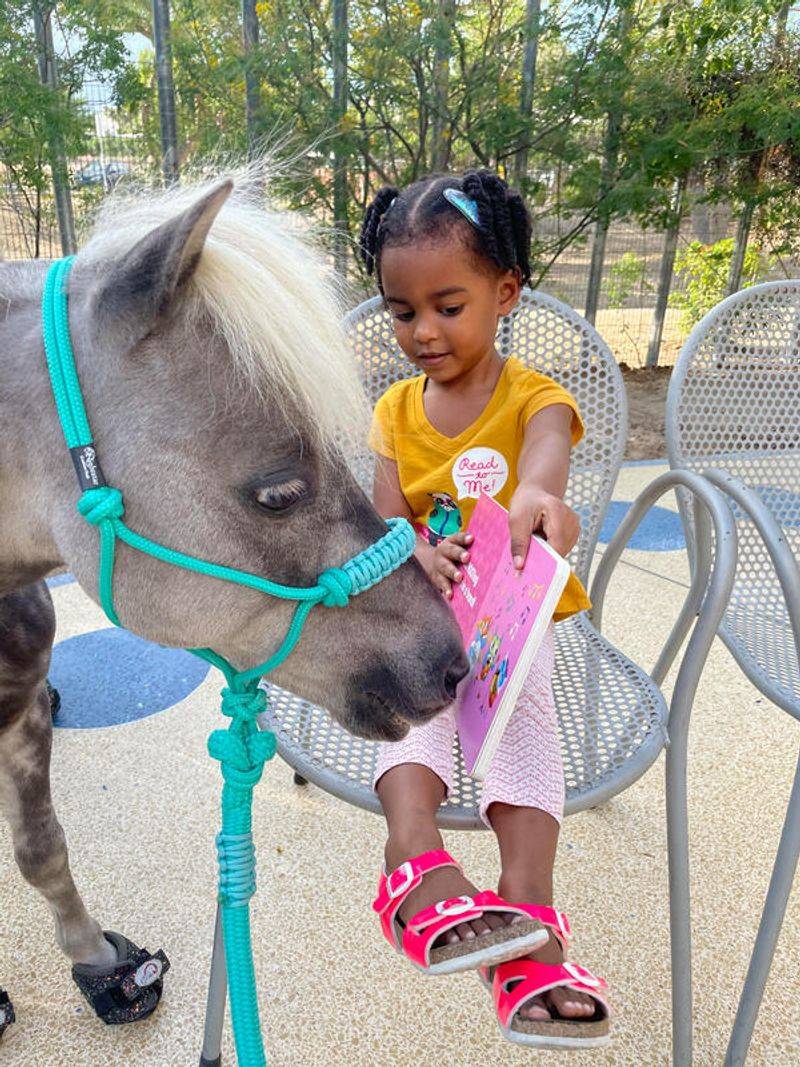 Great Companions for Kids
