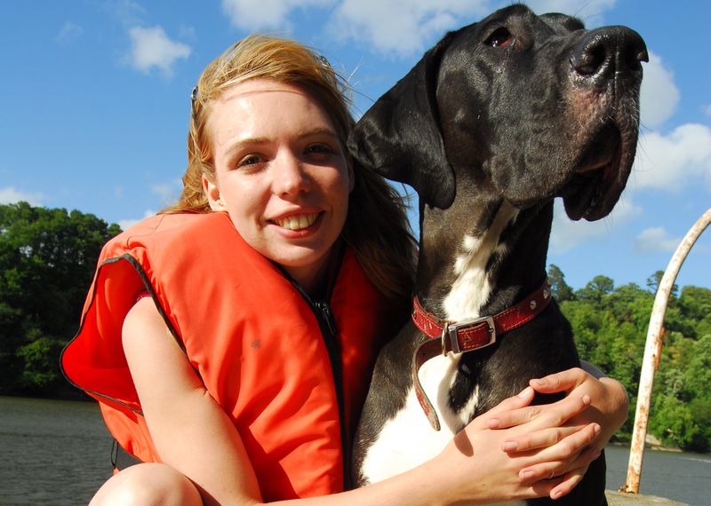 Great Dane
