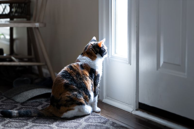 Greets You at the Door
