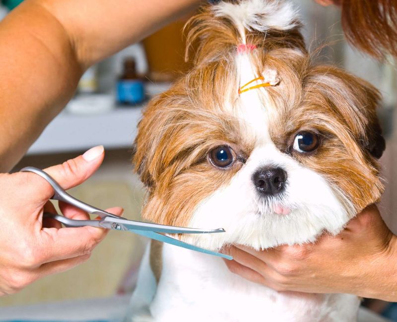 Grooming Demands