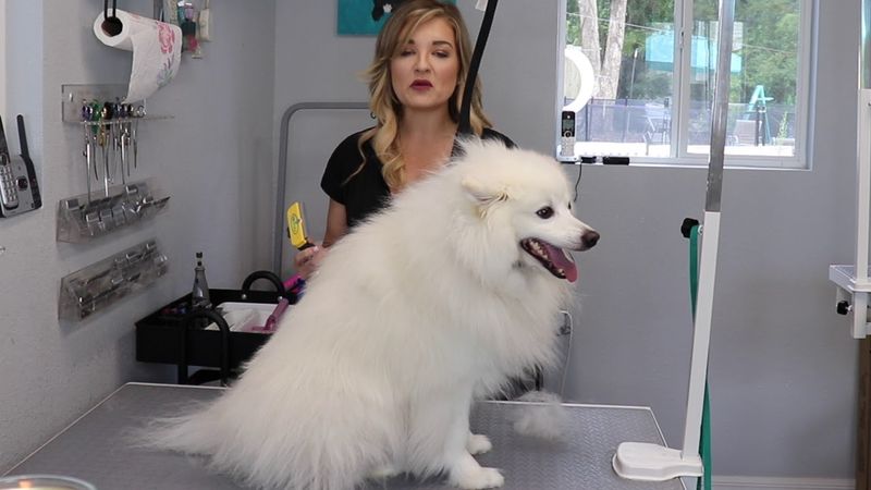 Grooming Requirements
