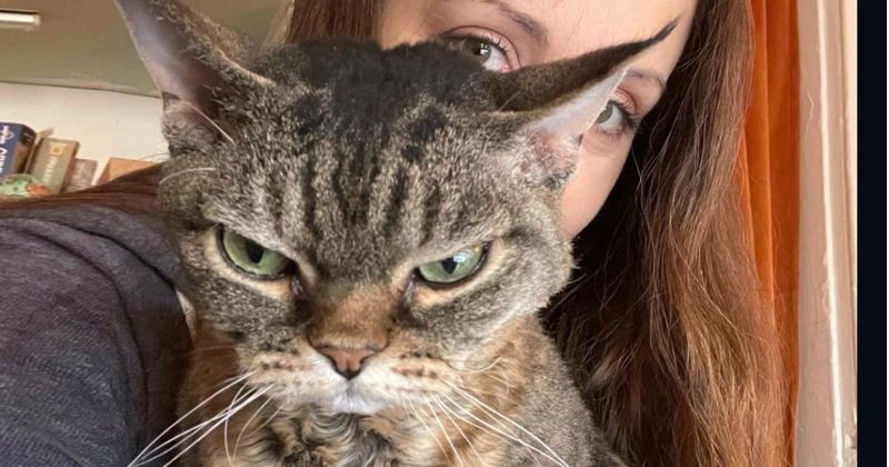 Grumpy Whiskers