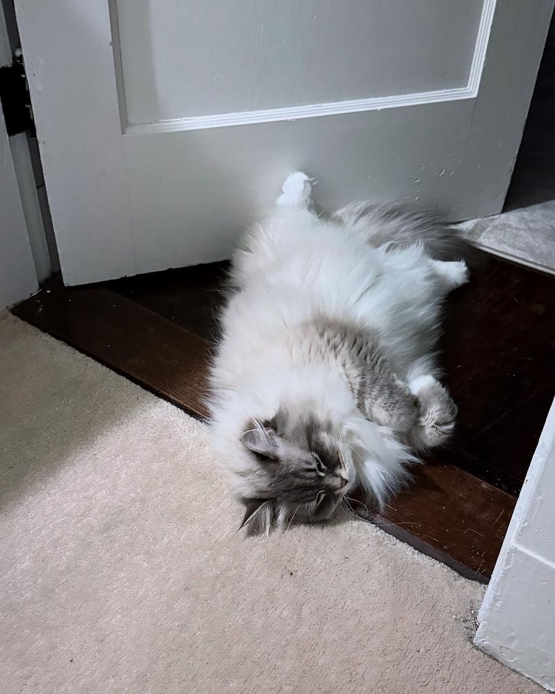 Guarding Specific Areas