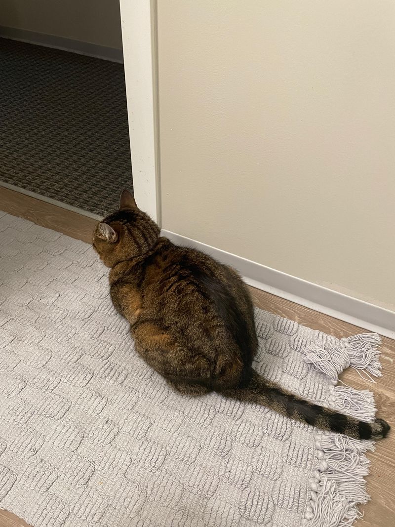Guarding the Doors
