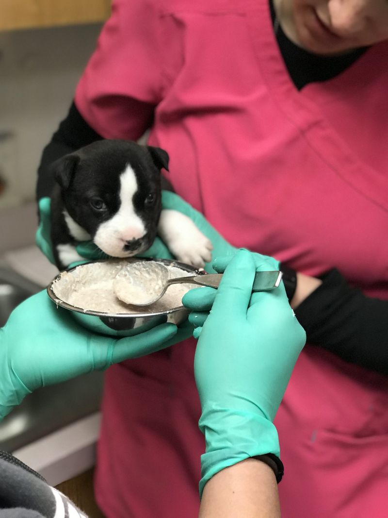 Handling Medical Needs