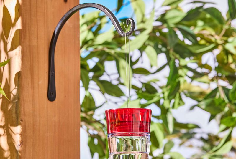 Hang Feeders with Fishing Line