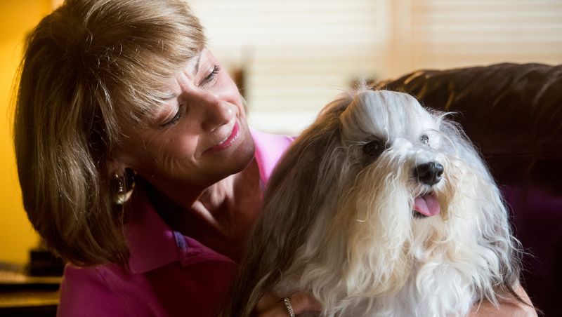 Havanese