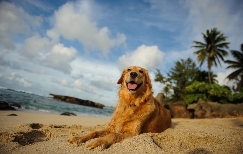 Hawaii