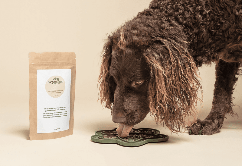 Hemp Protein