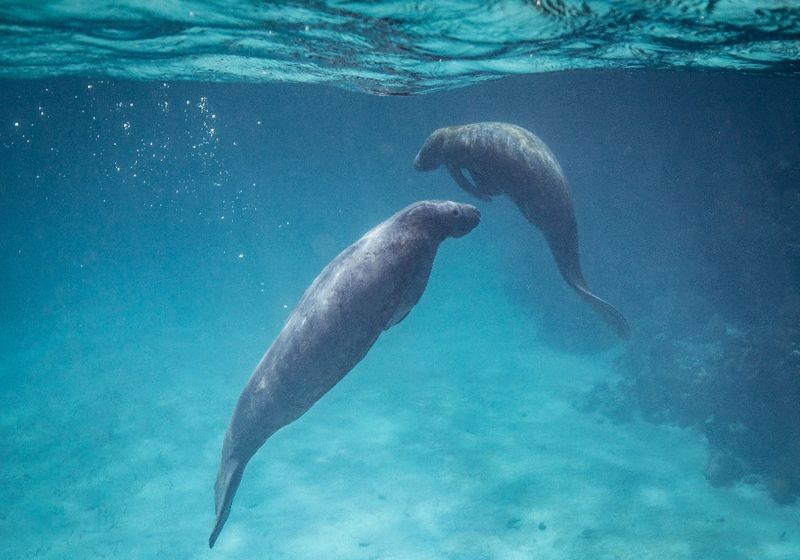 Hidden Lagoons of Belize