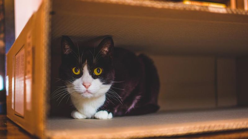 Hiding More Often