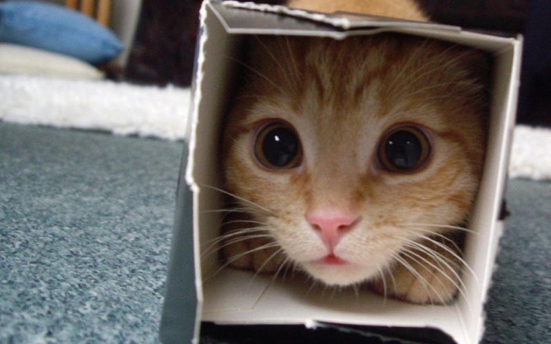 Hiding in Small Spaces