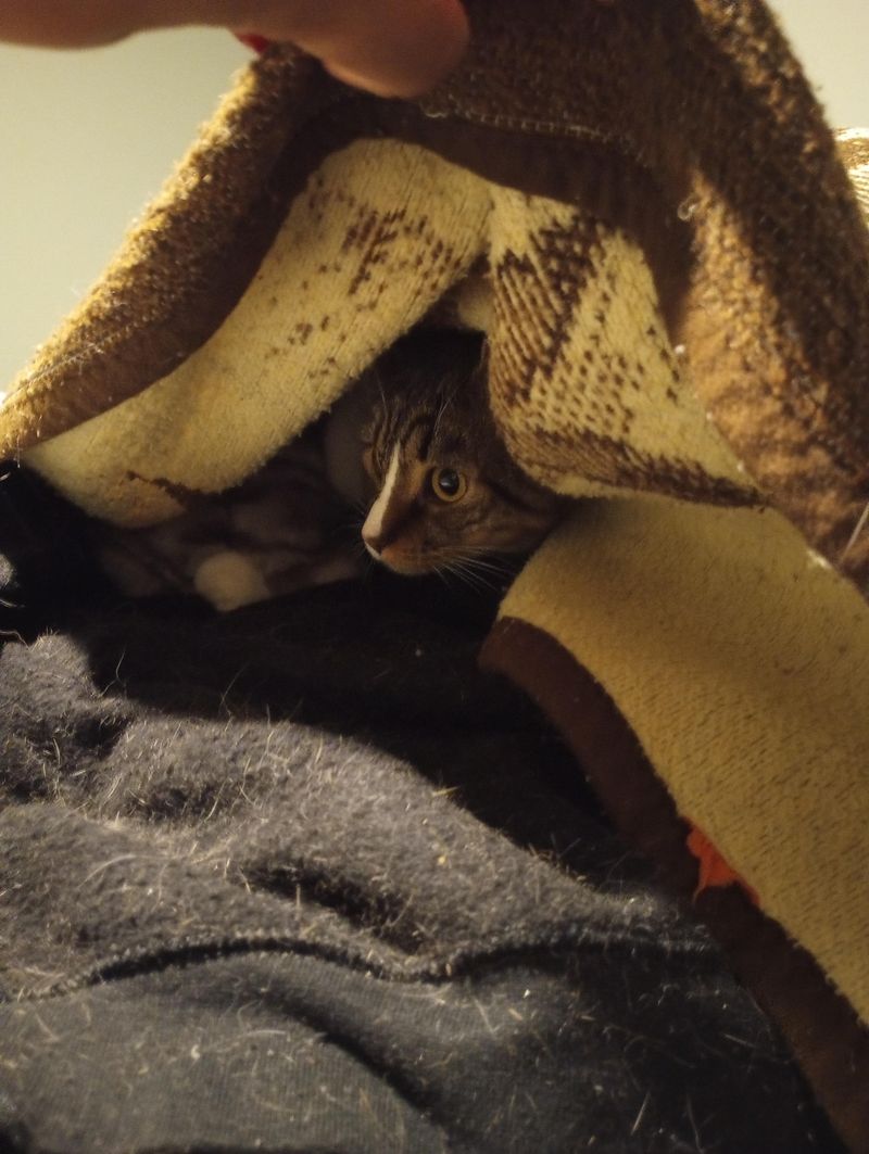Hiding in Unusual Places