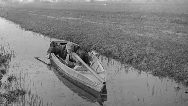 Historical U.S. Hunting Practices That Would Be Illegal Today