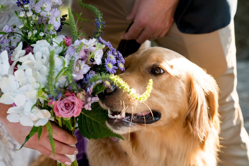 Holding a Celebration of Life