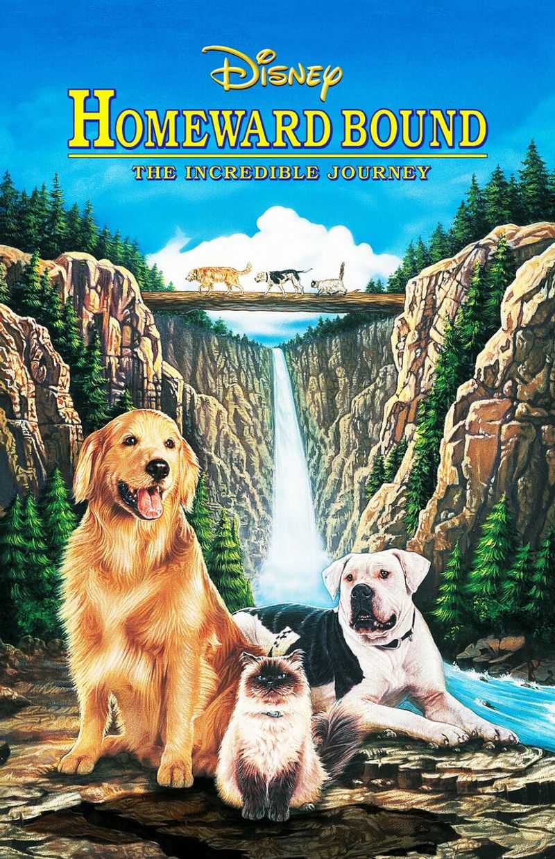 Homeward Bound: The Incredible Journey