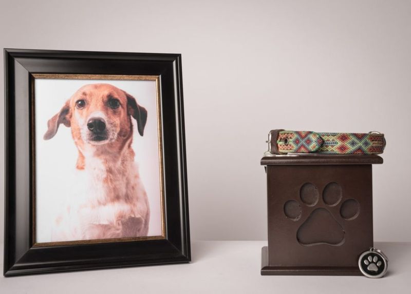 Host a Memorial Ceremony