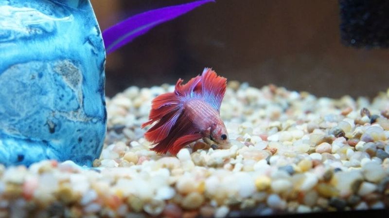 Hovering Near the Bottom
