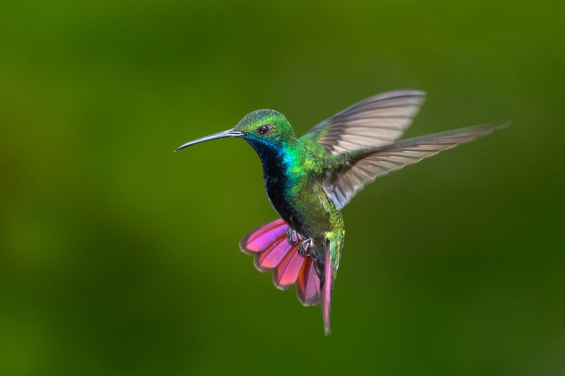 Hovering