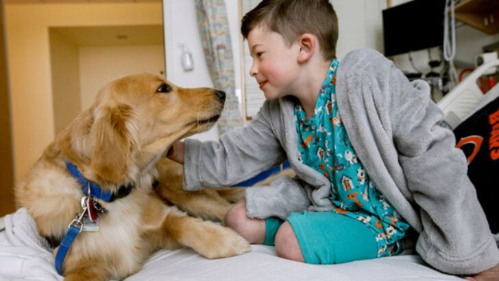 Where Do Shelter Dogs Go When No One Takes Them Home?