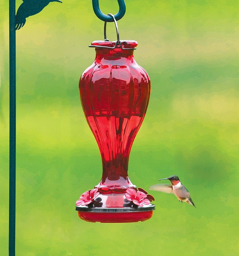 Hummingbirds