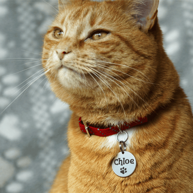 Identification Tags