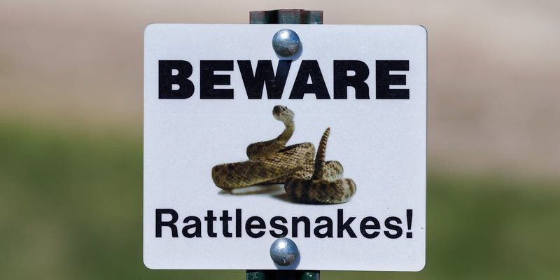 Ignoring Immediate Danger