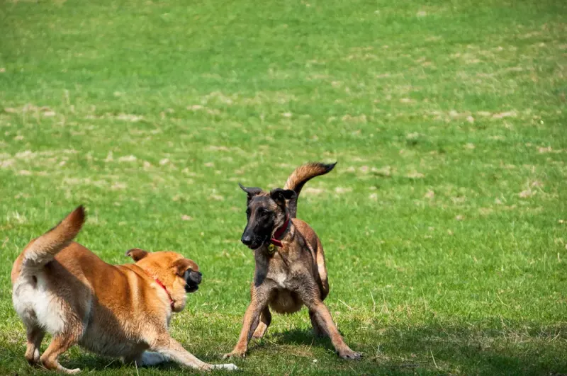Ignoring Play Styles