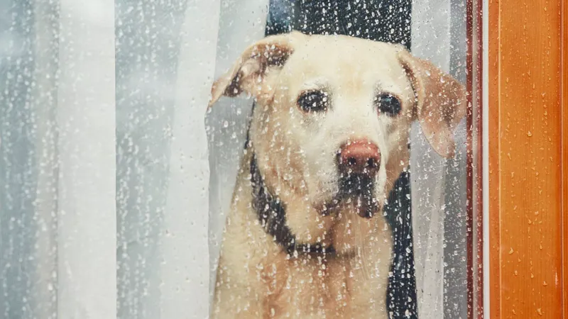 Ignoring Signs of Depression