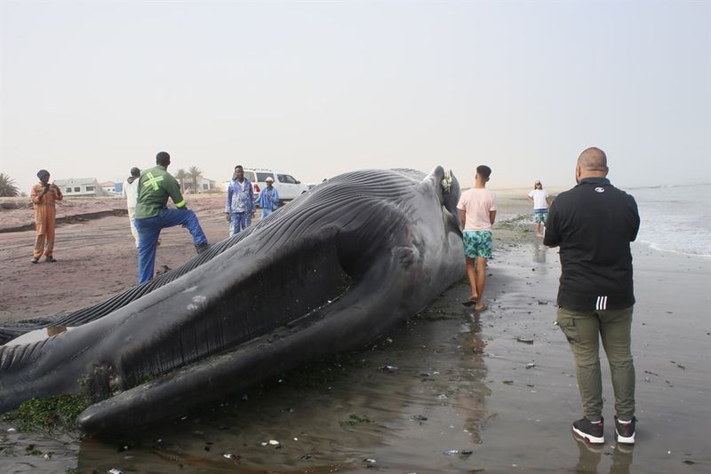 Impact on Tourism