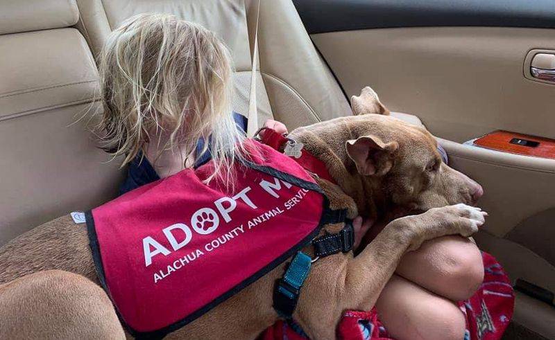 Importance of Fostering
