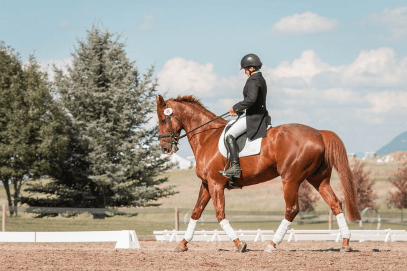 Impressive Endurance