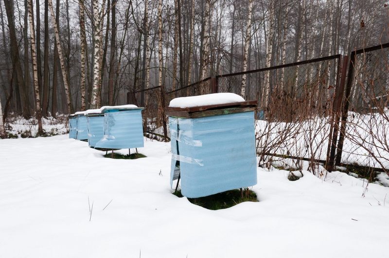 Improper Winter Preparation