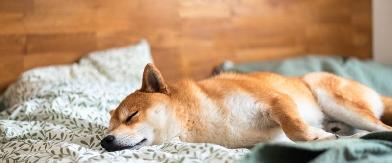 Improved Sleep Patterns