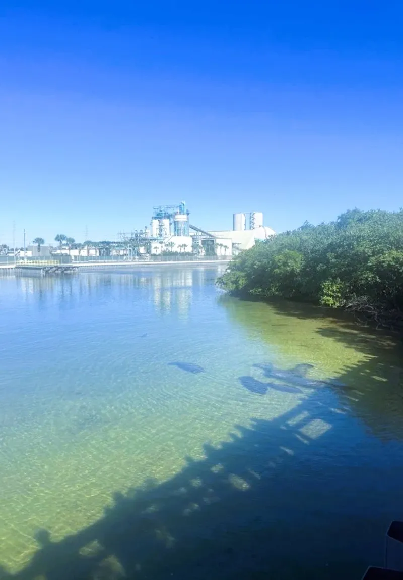 Industrial Canals of Tampa Bay