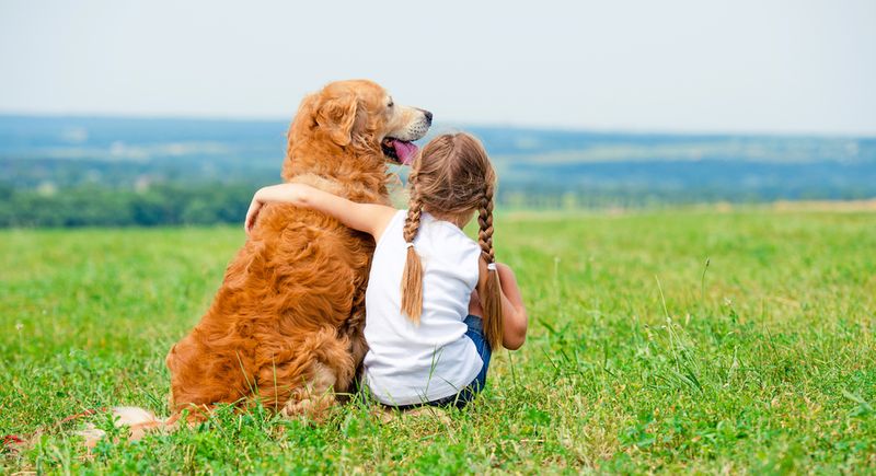 Instills a Sense of Loyalty