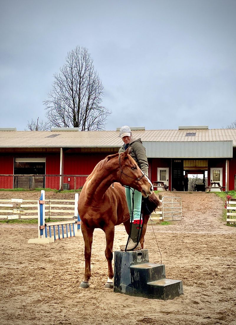 Intelligent and Trainable