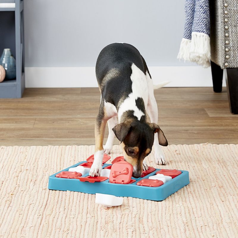 Interactive Puzzle Toys