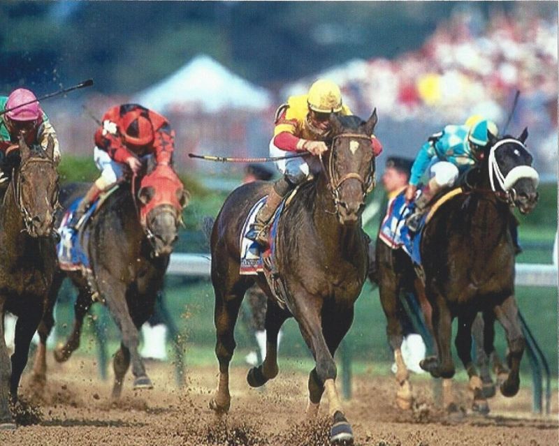 International Racing Career