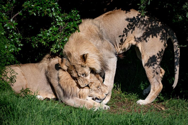 Intricate Social Bonds