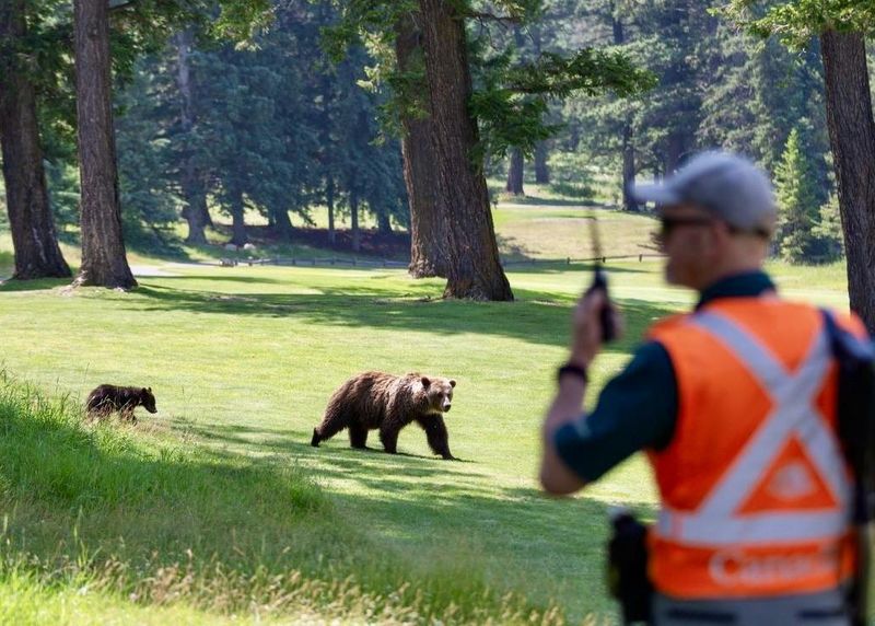 Jasper National Park