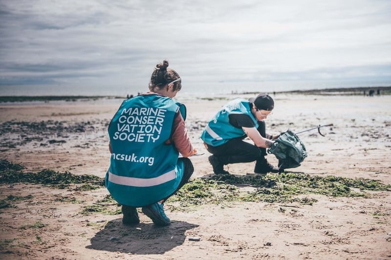 Join a Beach Cleanup