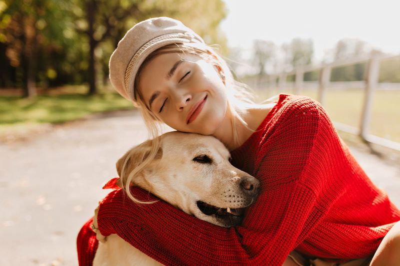Joyful Companions