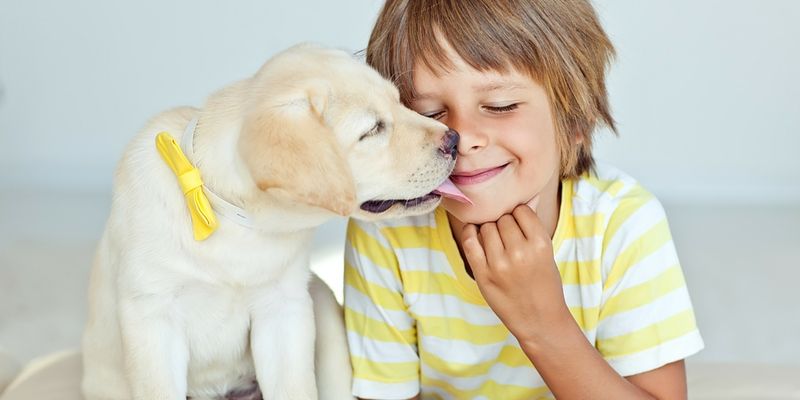 Joyful Companionship