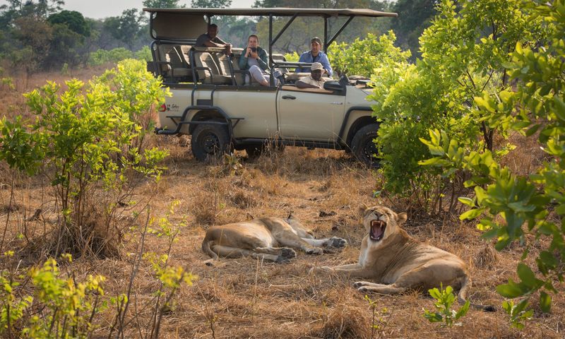 Kafue National Park, Zambia