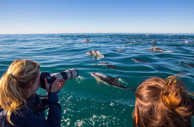 Kaikoura, New Zealand