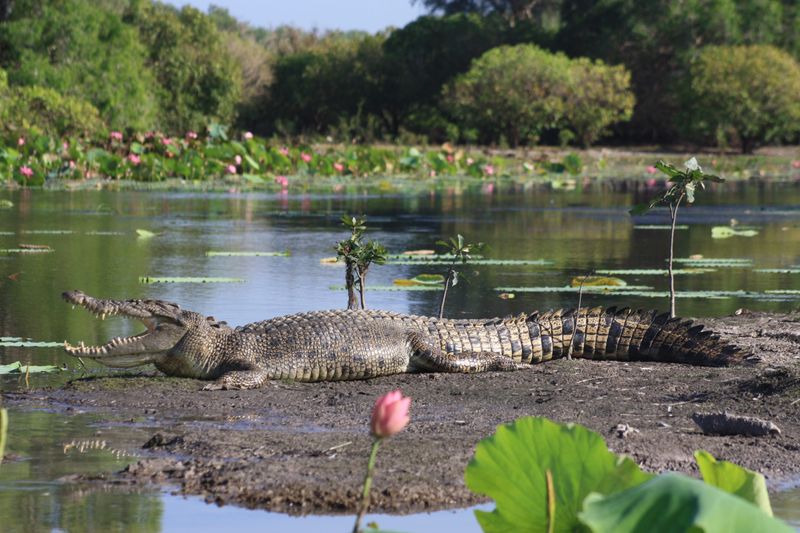 Kakadu National Park, Australia