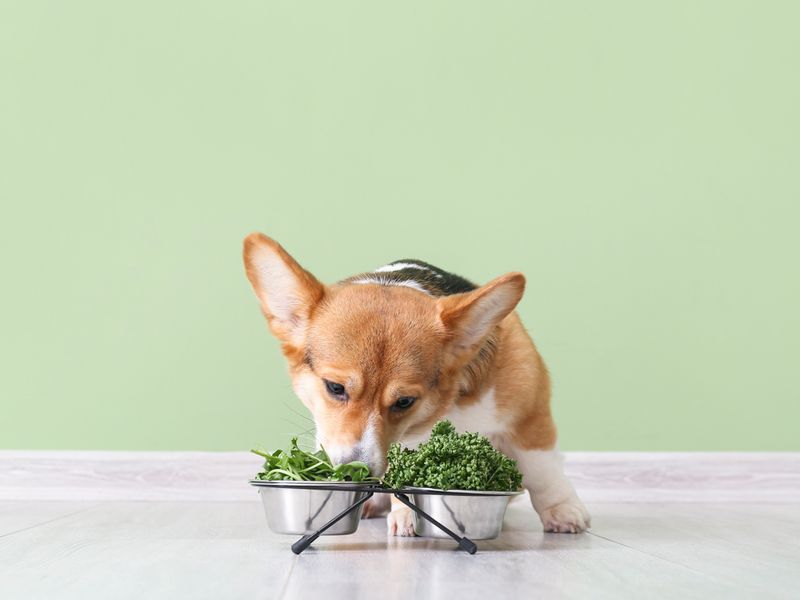 Kale