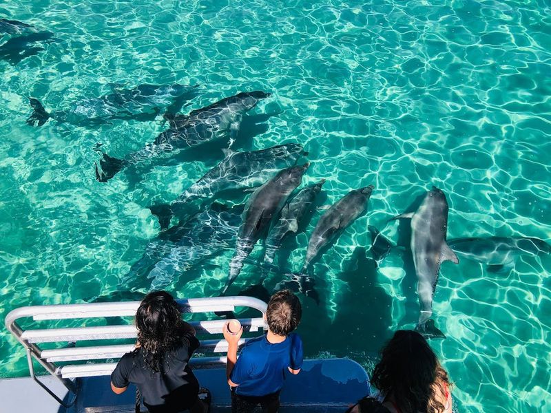 Kangaroo Island, Australia